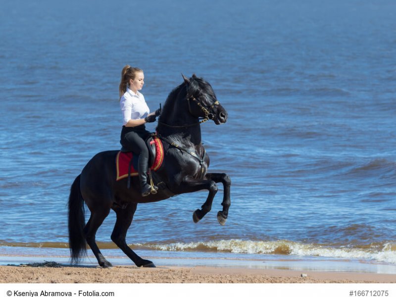 Reiten am Strand