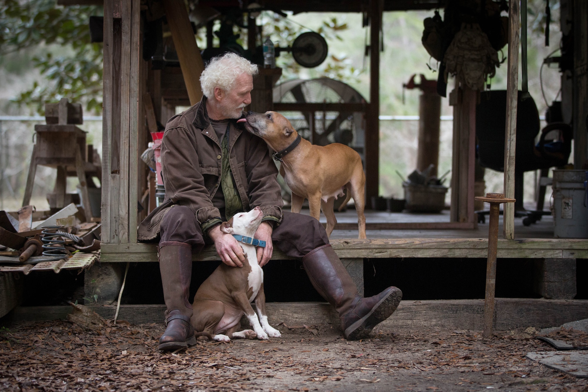 Ein älterer Mann sitzt vor seiner Hütte mit zwei unterschiedlich alten Hunden. Es gibt verschiedene Möglichkeiten Hundejahre in Menschenjahre umzurechnen.