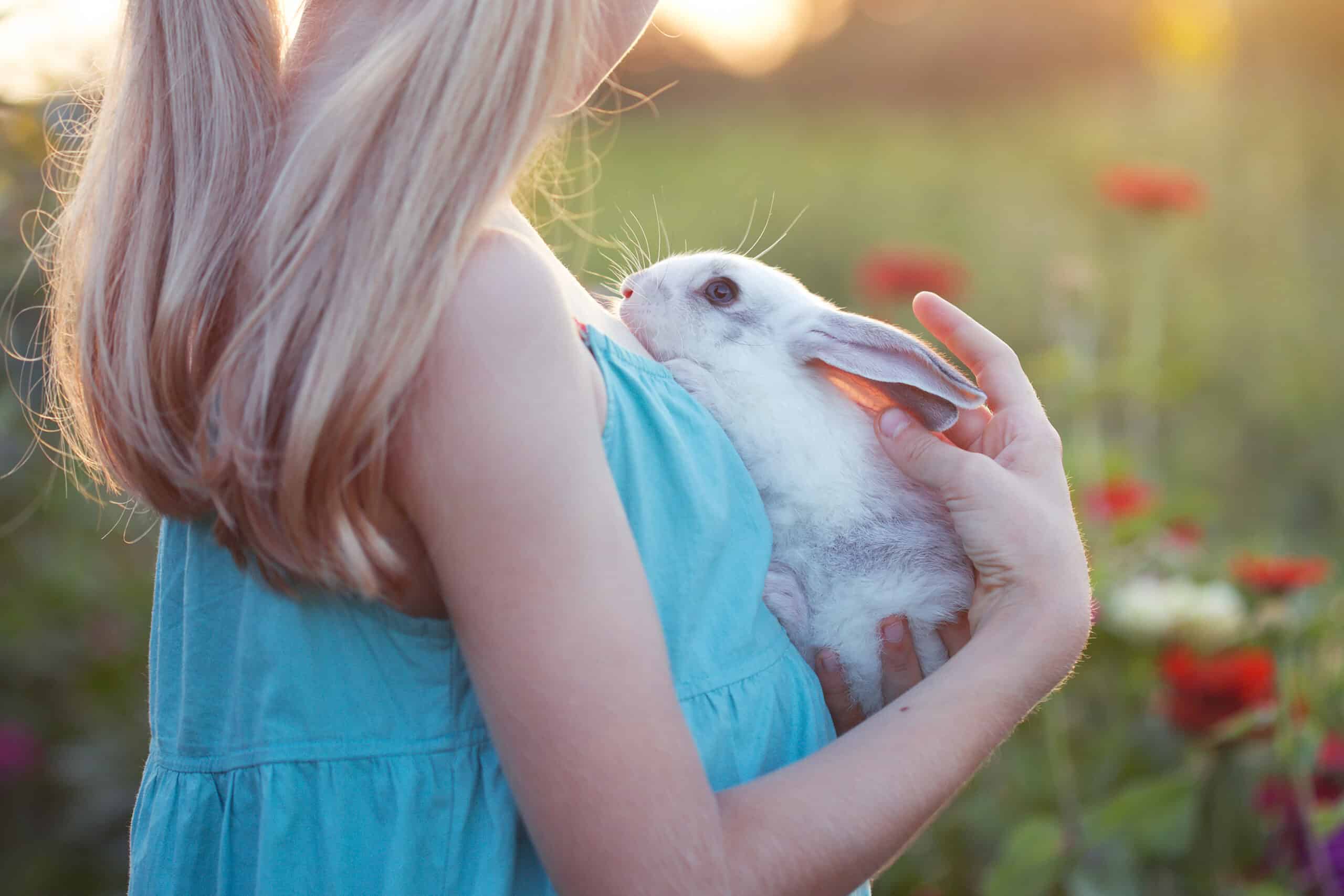Ein blondes Mädchen hält auf einer blühenden Wiese an einem sonnigen Tag ein weiß-graues Kaninchen auf dem Arm. Beschriftung lautet: