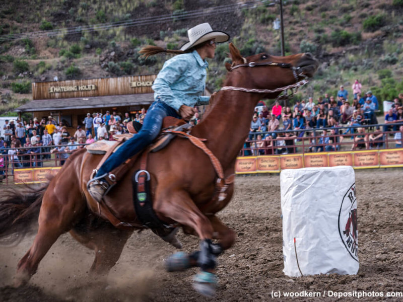 Rodeo Reiter und Pferd