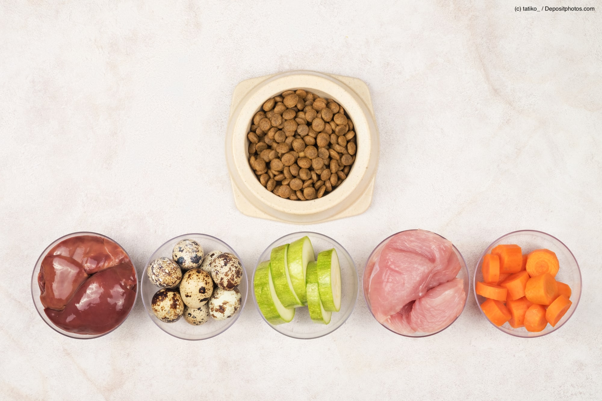 Ein Hundenapf mit Trockenfutter und 5 Schüsseln mit rohen Zutaten wie Karotten, Fleisch und Eier. DXie Beschriftung lautet: Hypoallergenes Hundefutter kannst du kaufen oder selbst kochen.
