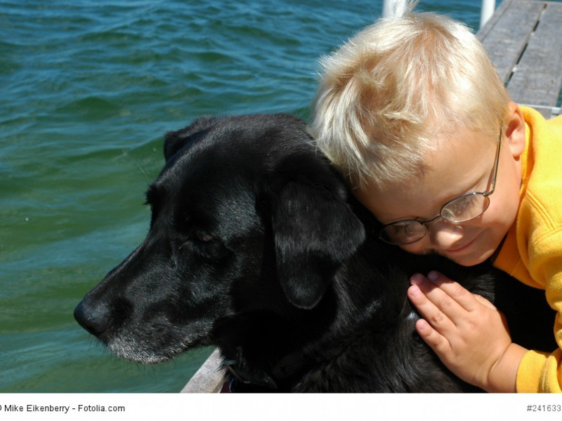 Ein Labrador ist ein sehr kinderlieber und geduldiger Hund.